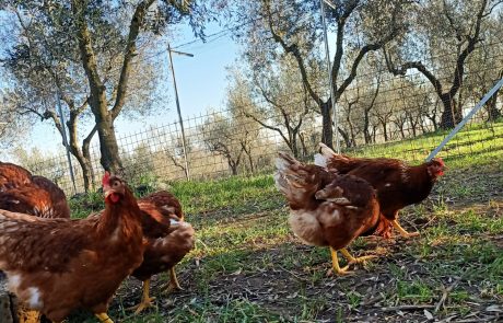 9fb7b83c-139e-4236-b740-2b67405dc512