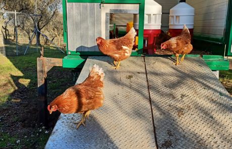 c86f3b45-726b-4aaf-9178-0777422eeda0