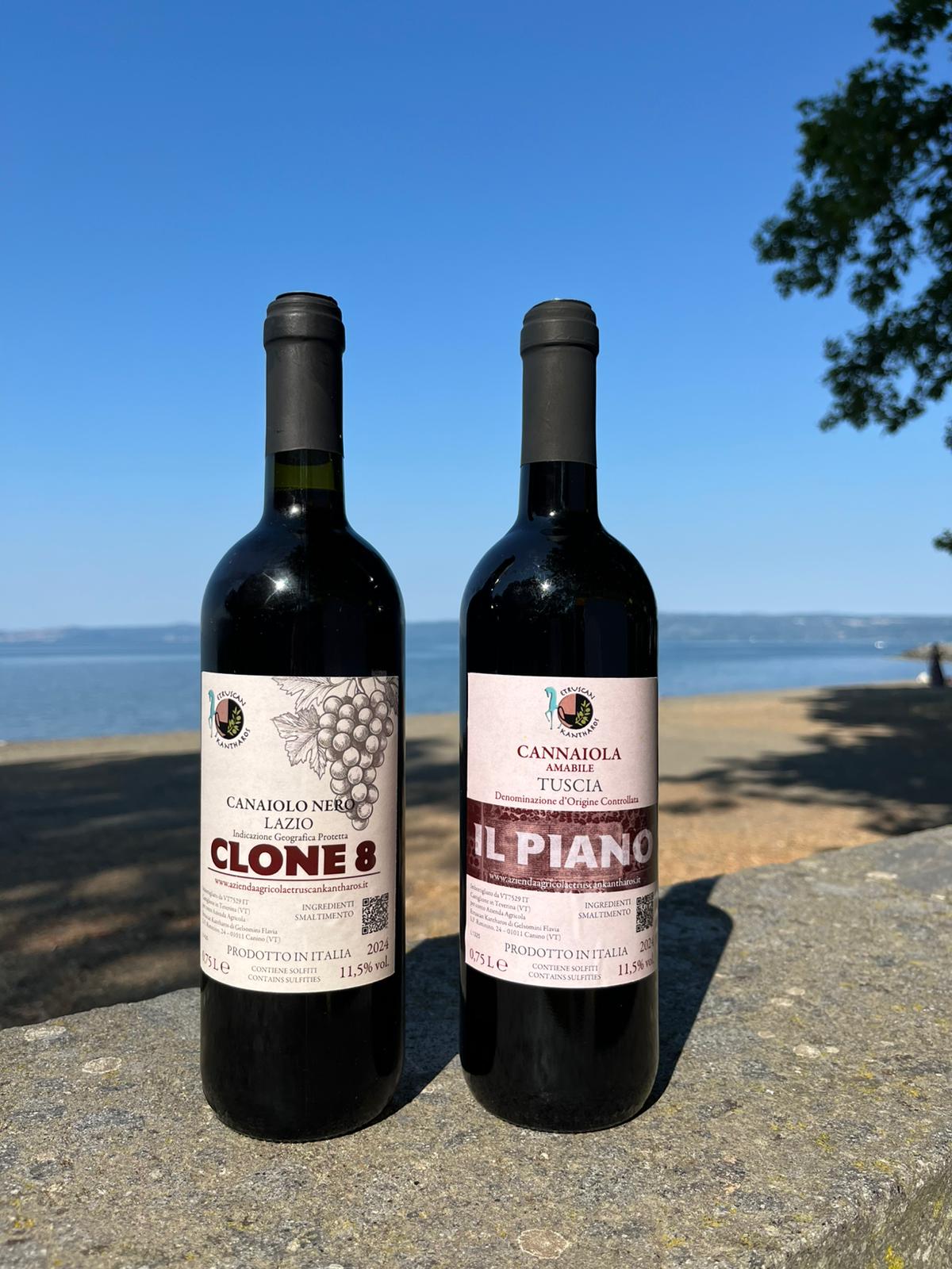 Bottiglie di vino Il Piano e Clone 8